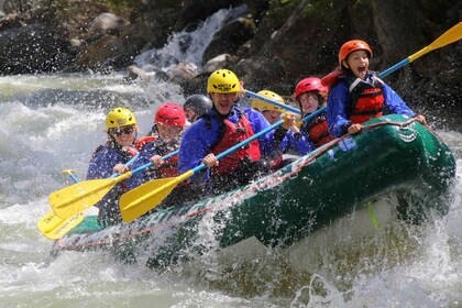 Gallatin Gateway: Rafting-Tour auf dem Gallatin River (I-III)