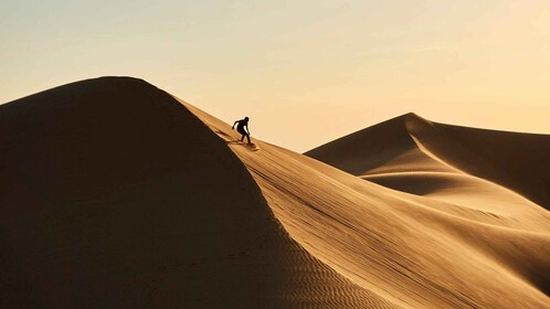 Riyad: Woestijnsafari door de zandduinen, quad rijden, kameeltocht