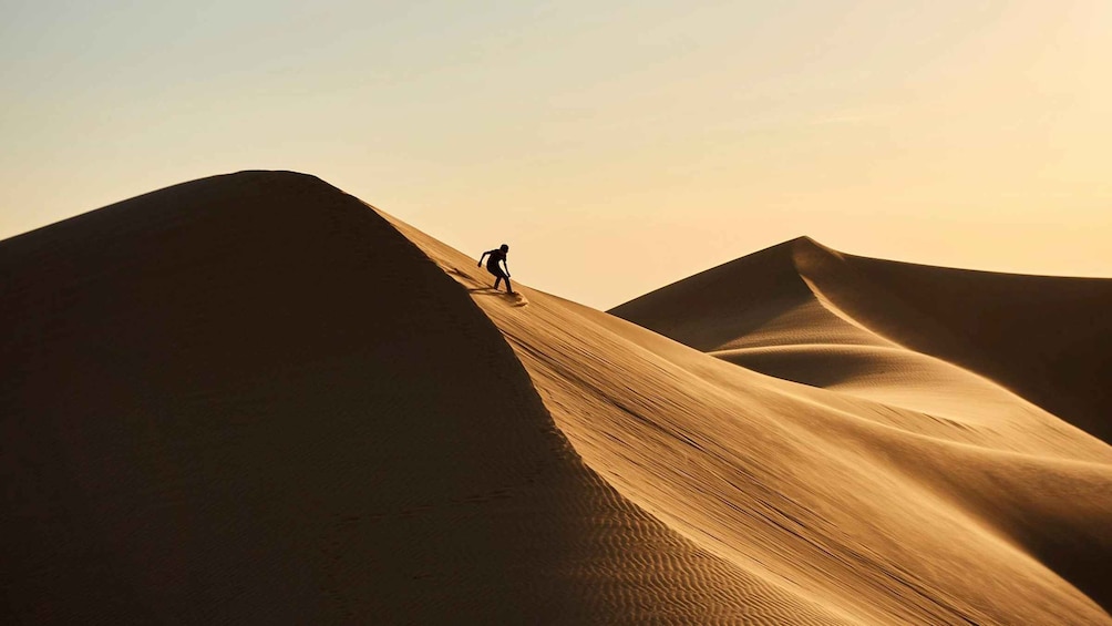 Riyadh: Sand Dunes Desert Safari, Quad Bike, Camel Ride