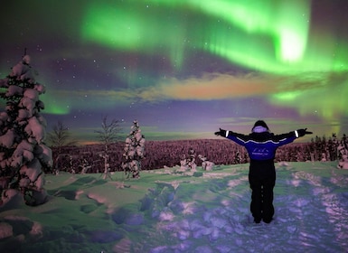 Rovaniemi : Northern Lights Wilderness Tour avec caméra