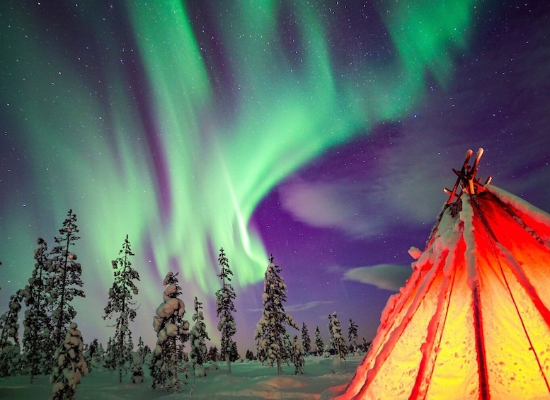 Picture 1 for Activity Rovaniemi: Northern Lights Wilderness Tour with Camera