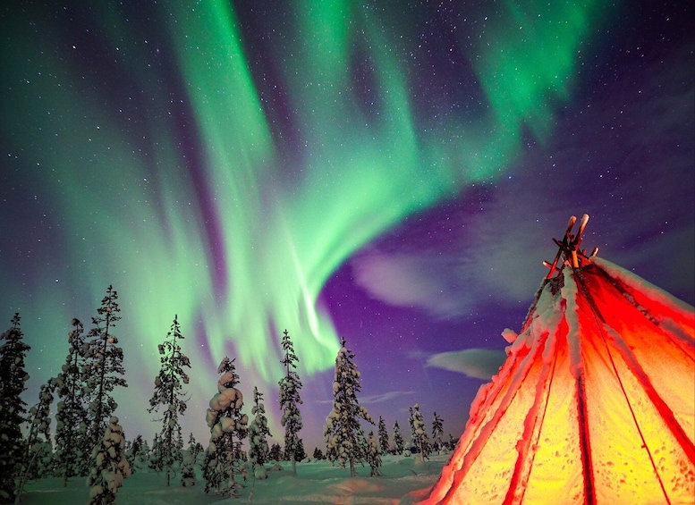 Picture 1 for Activity Rovaniemi: Northern Lights Wilderness Tour with Camera