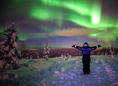 Rovaniemi : Circuit des aurores boréales en milieu sauvage avec appareil ph...