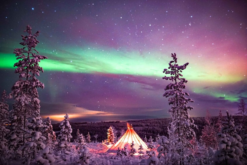 Picture 3 for Activity Rovaniemi: Northern Lights Wilderness Tour with Camera