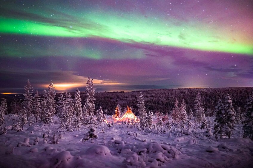 Picture 6 for Activity Rovaniemi: Northern Lights Wilderness Tour with Camera