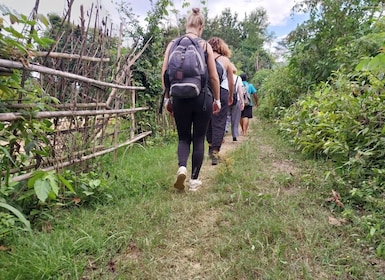 Luang Prabang : Randonnée hors des sentiers battus avec déjeuner pique-niqu...