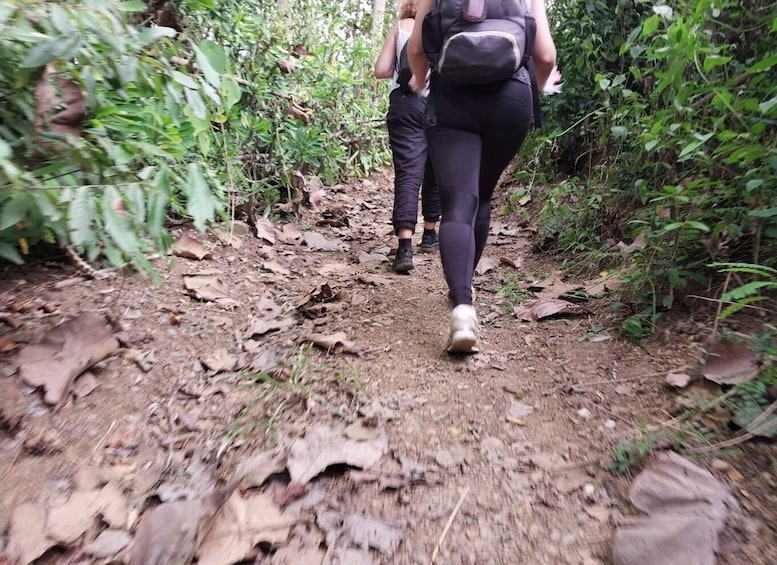 Picture 1 for Activity Luang Prabang: Hiking Off the Beaten Track with Picnic Lunch