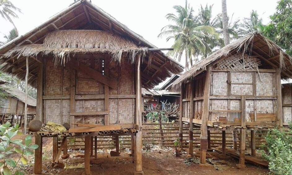 Picture 4 for Activity Luang Prabang: Hiking Off the Beaten Track with Picnic Lunch