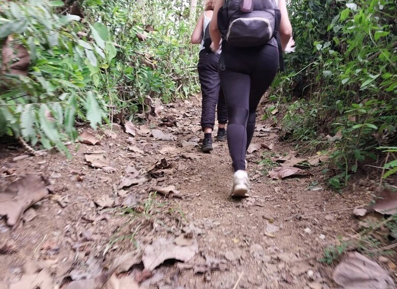 Picture 1 for Activity Luang Prabang: Hiking Off the Beaten Track with Picnic Lunch