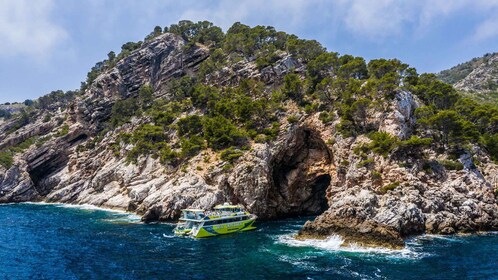 Desde Cala Ratjada: Excursión en barco con fondo de cristal por la costa es...