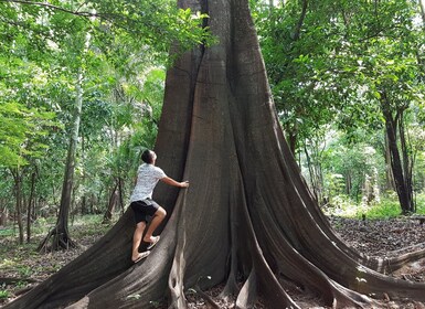 Giungla amazzonica: tour di 3 o 4 giorni all'Ipanema River Guest House