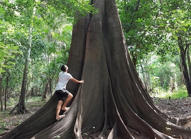亞馬遜叢林：伊帕內瑪河賓館 3 日或 4 日遊