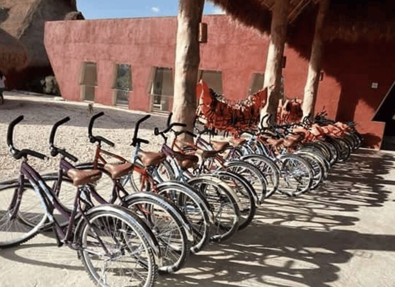 Picture 3 for Activity From Merida: 4 Cenotes and Acanceh zone with Lunch & Bikes