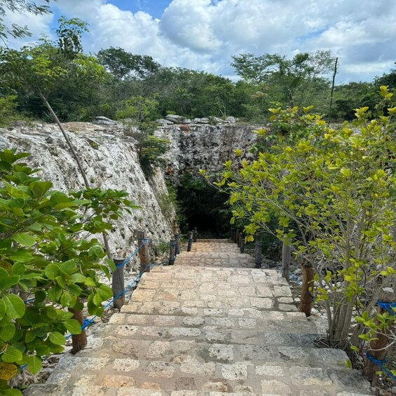 Picture 7 for Activity From Merida: 4 Cenotes and Acanceh zone with Lunch & Bikes