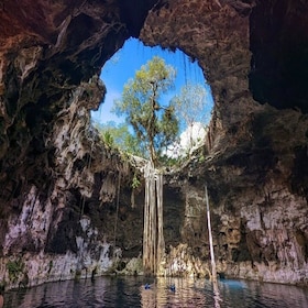 From Merida: 4 Cenotes and Acanceh zone with Lunch & Bikes