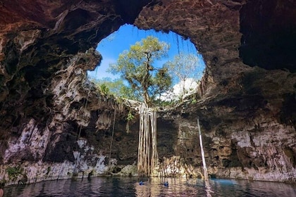 From Merida: 4 Cenotes and Acanceh zone with Lunch & Bikes