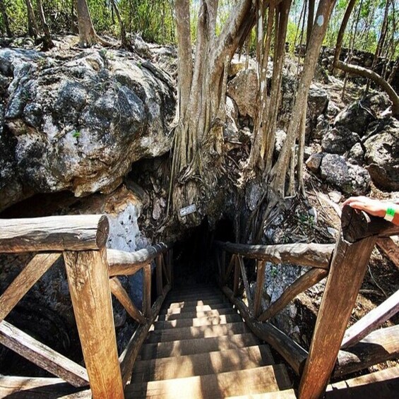 Picture 1 for Activity From Merida: 4 Cenotes and Acanche zone with Lunch & Bikes