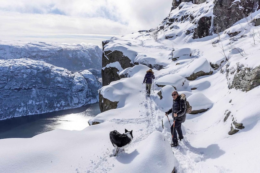 Picture 8 for Activity Stavanger: Preikestolen Winter Hike