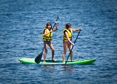 Cartagena: 1-Hour Paddleboard Rental or Private Lesson