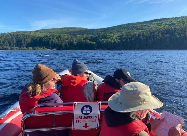 From Corner Brook : Bay Of Islands Island Zodiac Boat Tour