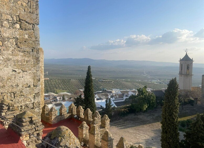 Picture 4 for Activity Córdoba: Ducal Castle Guided Walking Tour