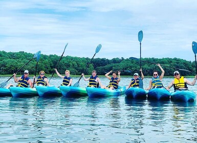 Hilton Head: Guided Kayak Sunrise or Sunset Tour