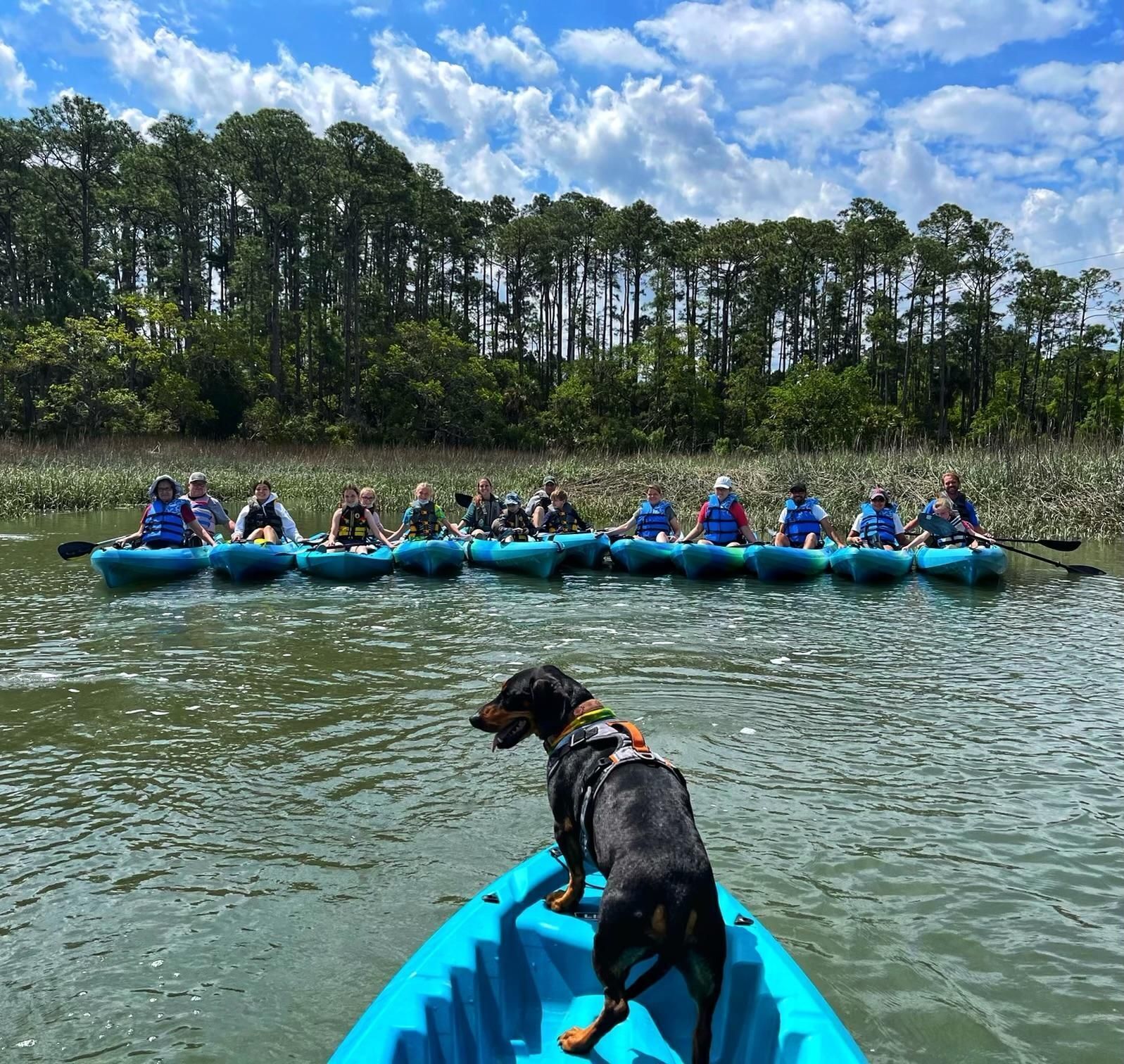 Hilton Head: Guided Kayak Sunrise or Sunset Tour