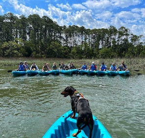 Hilton Head : Kayak guidé au lever ou au coucher du soleil excursion