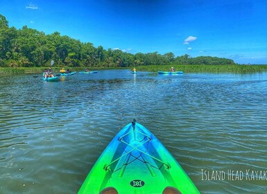 Hilton Head: Guided Kayak Sunrise or Sunset Tour