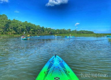 Hilton Head: Guided Kayak Sunrise or Sunset Tour