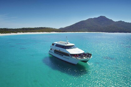 Bahía Coles: crucero por Wineglass Bay solo para adultos con almuerzo