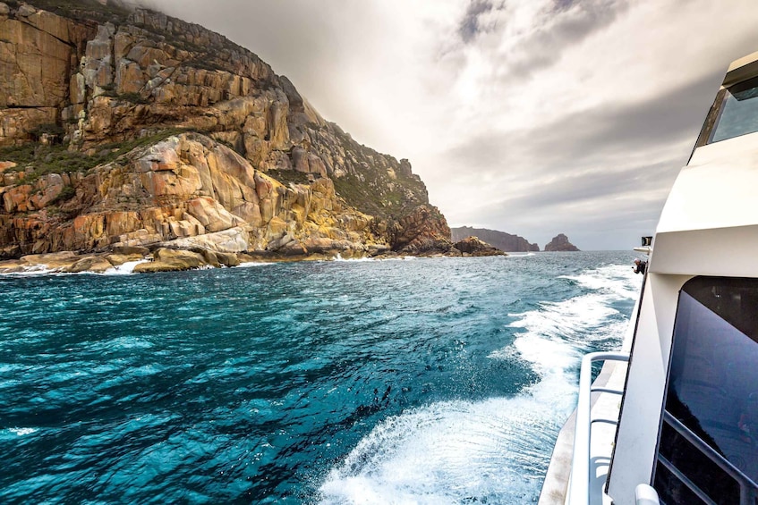 Picture 4 for Activity Coles Bay: Wineglass Bay Adults-Only Cruise with Lunch