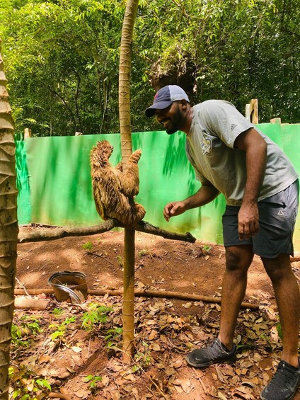 Picture 9 for Activity Roatan Mangrove Tour + Sloths