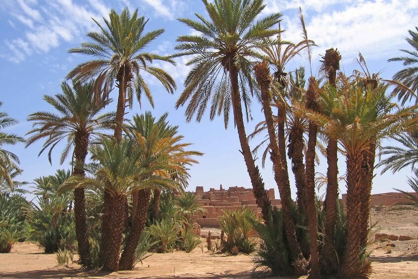 Picture 3 for Activity From Agadir : Private 2 Days Sahara Tour to Zagora Desert