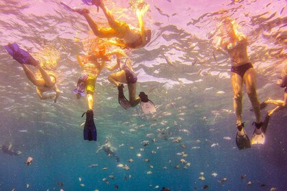 La Romana: Catalina Island Full-Day Snorkelling Tour