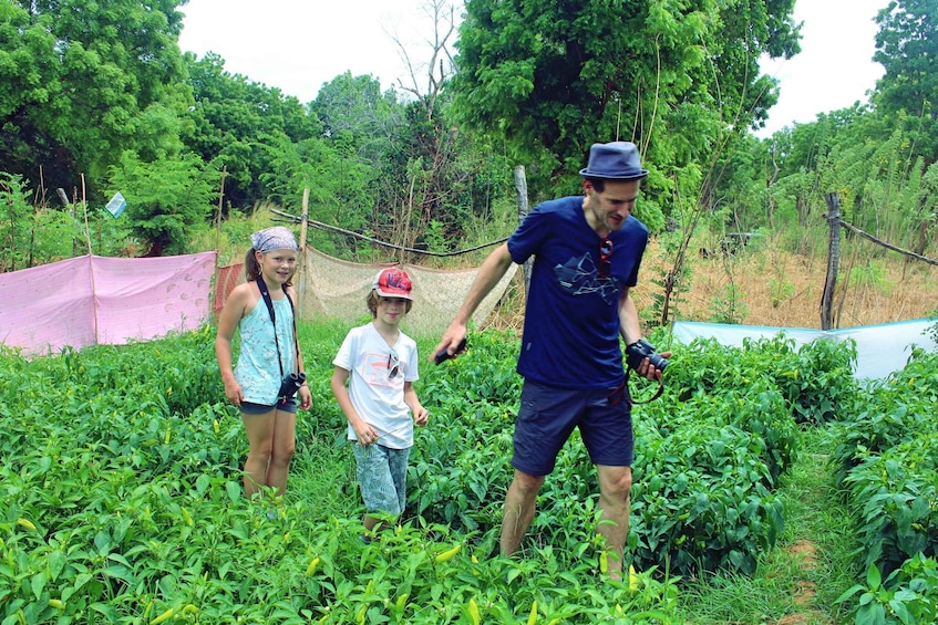 Picture 5 for Activity Sri Lanka: 5-Hour Guided Tour of Ella Village