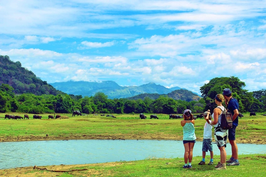 Sri Lanka: 5-Hour Guided Tour of Ella Village