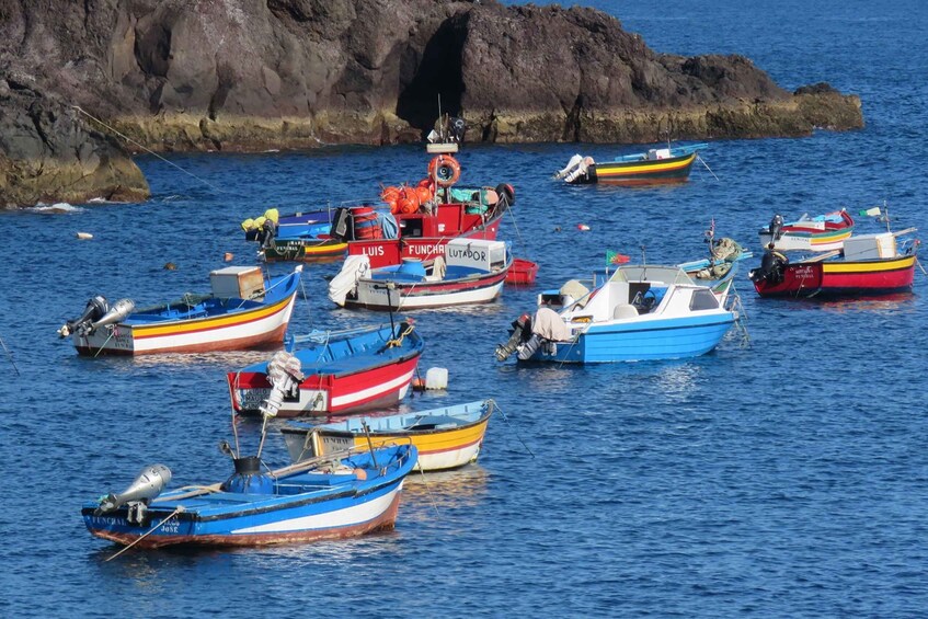 Picture 10 for Activity Madeira : Cabo Girao and Camara de Lobo 4WD half-day Tour