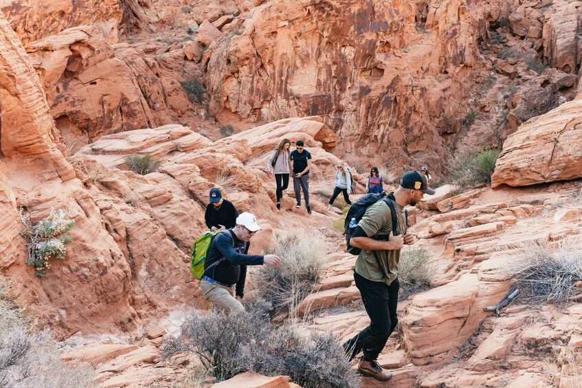 Picture 7 for Activity Las Vegas: Valley of Fire Guided Hike with Drinks and Snacks