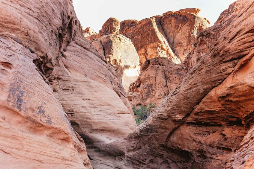 Picture 1 for Activity Las Vegas: Valley of Fire Guided Hike with Drinks and Snacks