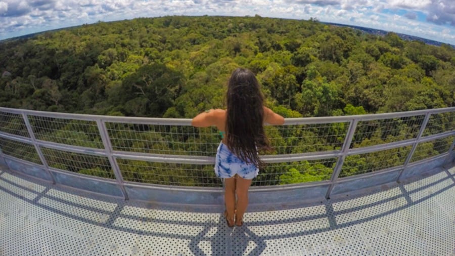 Manaus: MUSA and INPA Museums with Observation Tower Tour