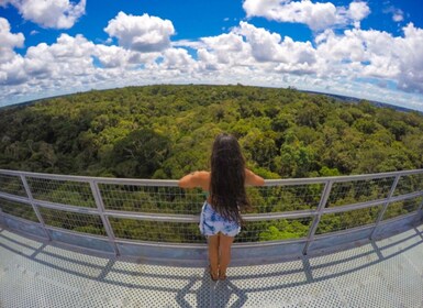 Manaus: tour dei musei MUSA e INPA con torre di osservazione