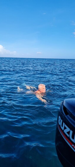 Picture 7 for Activity Tamarin: Swim & Snorkel w/ Dolphins, Lunch Benitiers island