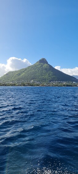 Picture 21 for Activity Tamarin: Swim & Snorkel w/ Dolphins, Lunch Benitiers island