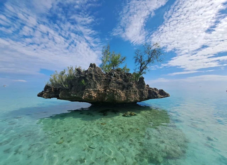 Picture 22 for Activity Tamarin: Swim & Snorkel w/ Dolphins, Lunch Benitiers island