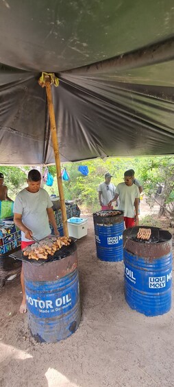 Picture 12 for Activity Tamarin: Swim & Snorkel w/ Dolphins, Lunch Benitiers island