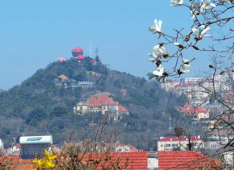 Picture 3 for Activity Qingdao: City Highlights and Tsingtao Beer Museum