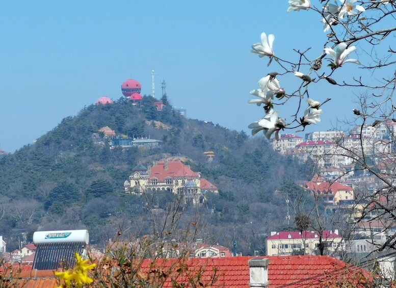 Picture 3 for Activity Qingdao: City Highlights and Tsingtao Beer Museum