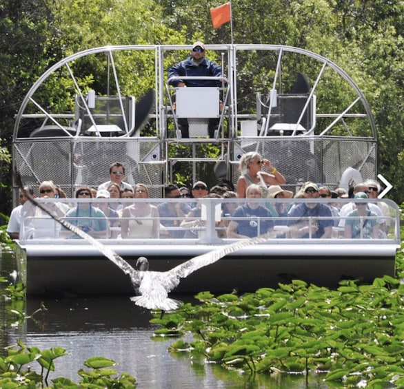 Picture 6 for Activity Everglades Airboat Ride & Guided Hike