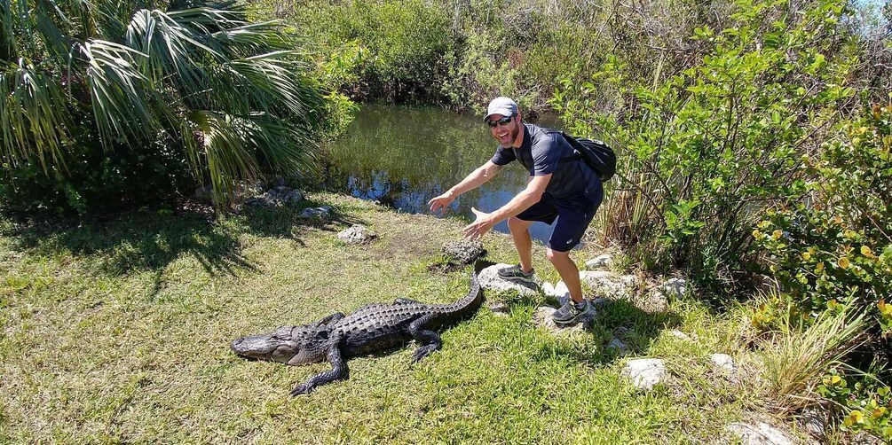 Miami: Everglades Airboat Ride & Guided Hike